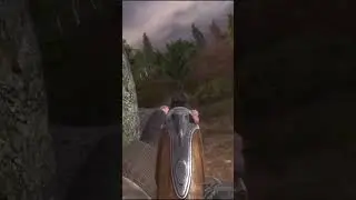 Удивительный Сталкер #Shorts #stalker
