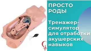 Обзор тренажёра-симулятора для отработки акушерских навыков ПРОСТО РОДЫ