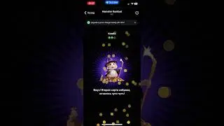 Hamster Kombat 14. 06.2024 Комбо на 5 миллионов монет