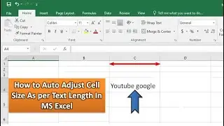 How to Auto Adjust Cell Size As per Text Length In MS Excel (Easy Method)