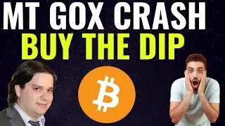 FORGET MT GOX BUY THIS DIP CRYPTHUG MENTAL ADVICE