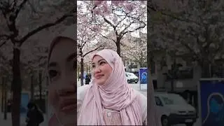 Кимга борай кимга айтай…