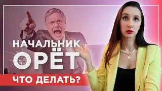 Ваш руководитель орет: как реагировать на хамство?