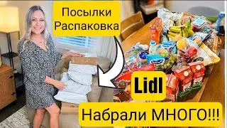 Набрали много!!! Недельная закупка продуктов/Lidl/Распаковка посылок/Жизнь в США/Лиса в Америке/Влог