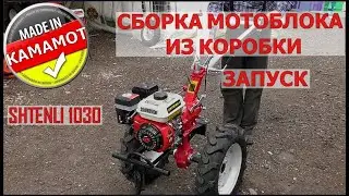 Мотоблок Shtenli 1030 L. Сборка | Подключение проводки |Заливка масла | Запуск