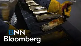 Gold company CEOs buy back shares when they're at an all time high: Steinberg