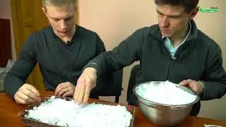 ЭФФЕКТИВНЫЙ СПОСОБ!!! СЕЕМ СЕМЕНА ПЕТУНИИ НА СНЕГ. 100% ВСХОДЫ