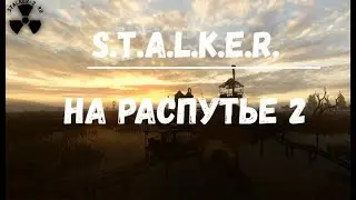 S.T.A.L.K.E.R. На распутье 2. Новиков. Сердце Оазиса. Вальпургий
