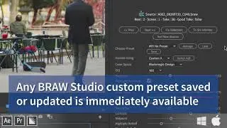 BRAW Studio : Batch apply color grades to 100 .BRAW at once, in a few clicks