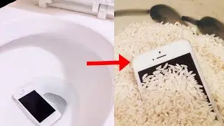 How to Fix Phone Dropped in Water (Fixed)