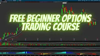 FREE Beginner Option Trading Course
