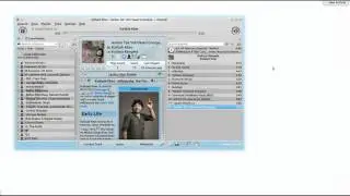 Control VLC, Amarok With Mouse Gestures