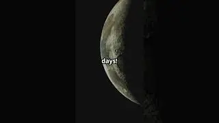 🌙 The Truth About the Moon's 'Dark Side'! 🌗