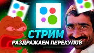 🔥Ищу компьютеры на стриме/Бесим перекупов/оценка