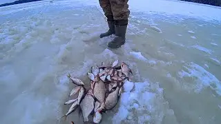 ЭТО КАКАЯ ТО ВОЛШЕБНАЯ ЛУНКА! РЫБАЛКА ЗИМОЙ НА ПОПЛАВОК! зимняя рыбалка из архива.