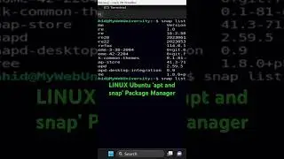 LINUX Ubuntu ‘apt and snap’ Package Manager #shorts