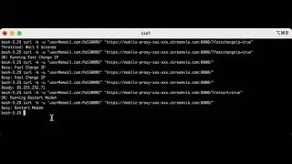 StreamVia 4G Mobile Proxy - Command Line Interface / cURL API Demo
