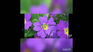 Сатканбай Момуналиев 