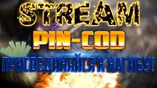 Стрим_Варфейс_Бесплатные пин-коды_Общение с подписчиками.