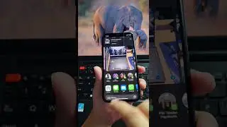 Kirim Gambar Sebagai Dokumen pada WhatsApp iPhone