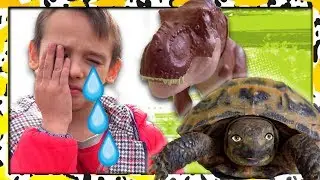 WHAT the DINOSAUR did with TURTLE