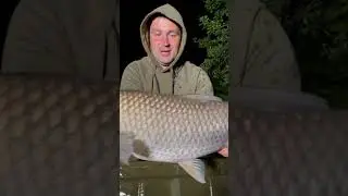 🤯АМУРИ РОЗРИВАЮТЬ СНАСТІ на ФЛЕТ ФІДЕР РИБОЛОВЛІ