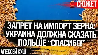 Украина должна сказать Польше “спасибо!” за запрет на импорт зерна. Алексей Кущ