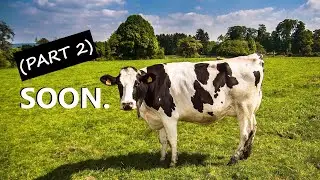 ASMR **V** Cow Roleplay (Part 2) [REQUESTED]