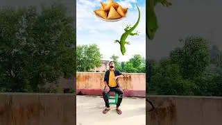 Scooter, Bus, lizard vs samosa & flying body parts matching funny vfx magic