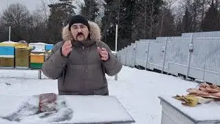 ❄ Зимовка пчел на улице 2022. Что сейчас важно сделать начинающему пчеловоду ❄