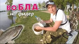 Посмотри, насколько просто ловить воблу на фидер в мае!