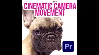 Cinematic Camera Movement In Premiere Pro #Shorts