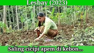 ADU LOBANG DI KEBUN😱 