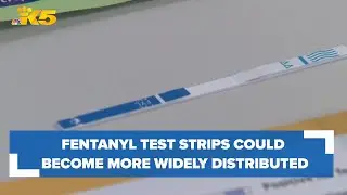 Fentanyl test strips could become more widely distributed in Washington after recent law change