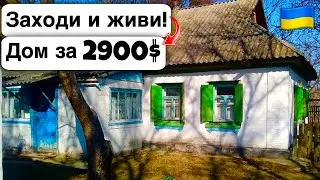 🇺🇦 Заходи и живи! Дом в селе за 2900$ Продажа недвижимости за копейки! Всё есть Уютное тихое село!