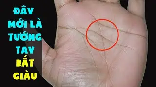 10 Đường Chỉ Tay Quý Hơn Vàng Quyết Định Cuộc Đời Giàu Sang Phú Quý - Phần 3