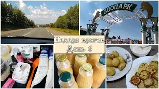 ПРОКАТИЛИСЬ В ЗООПАРК / Кондитерская ЗАКУПКА / 9 литров СОКА / Деревенский УЖИН