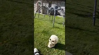 Scary Halloween Decorations #spookyseason Yard Art Ideas #halloweendecor 💀 Werewolf Spider Skull