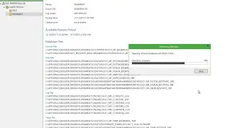 Veeam Availability Suite - Explorer for Oracle