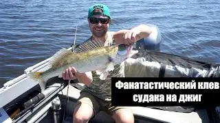 Фантастический клев судака на джиг
