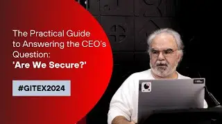 The Practical Guide to Answering the CEO’s Question: 'Are We Secure?'