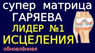 Матрица-лидер исцеления по Гаряеву