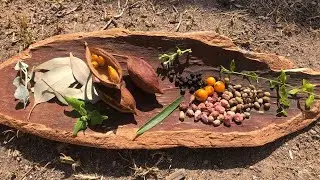 Forecourt Garden tour with Adam Shipp