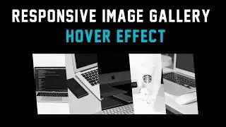 Responsive Image Gallery Hover Effect Using CSS3 || Full Tutorial