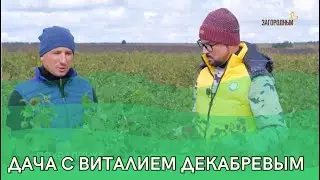 Дача с Виталием Декабревым Сезон 3 / Выпуск 3