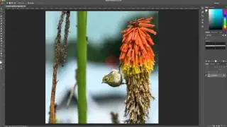 Remove Distracting Objets - Quick Photoshop How-to