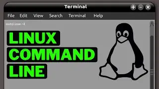 Basic Linux Terminal Commands You Need To Know
