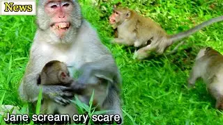 Jane scream crying loudly scared Loki attack her & baby, Jane try hug protect Janna from Loki