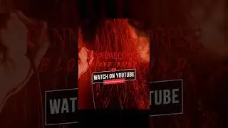 CANNIBAL CORPSE - Blood Blind #shorts