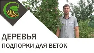 Делаем подпорки для плодовых деревьев